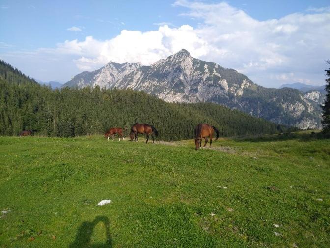 Mountainlove Strobl Zewnętrze zdjęcie